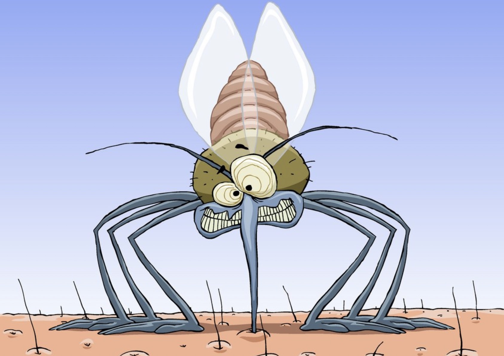 家里蚊子多？這幾個地方很容易滋生！